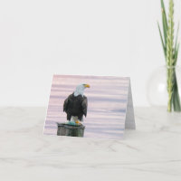 Bald Eagle With Fish Wildlife Photography Blank