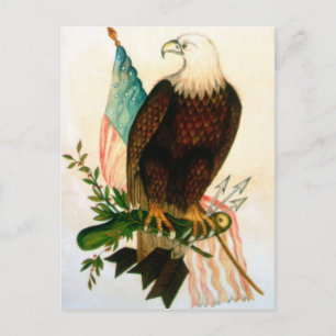 Bald eagle with flag postcard