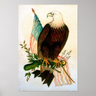 Bald eagle with flag poster