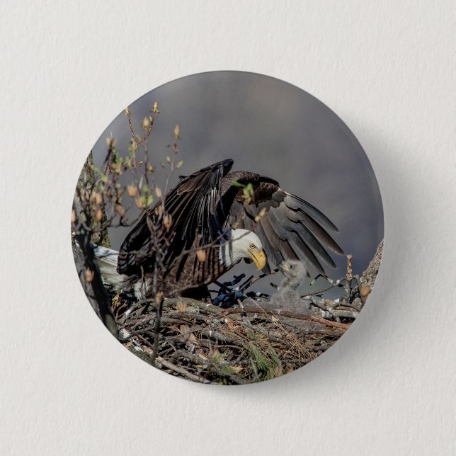 Bald Eagle with her baby 6 Cm Round Badge (Front)