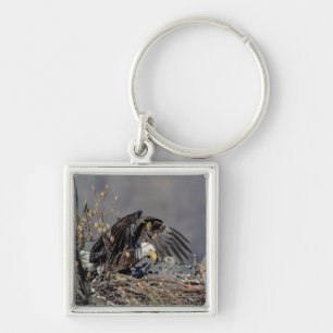 Bald Eagle with her baby Key Ring