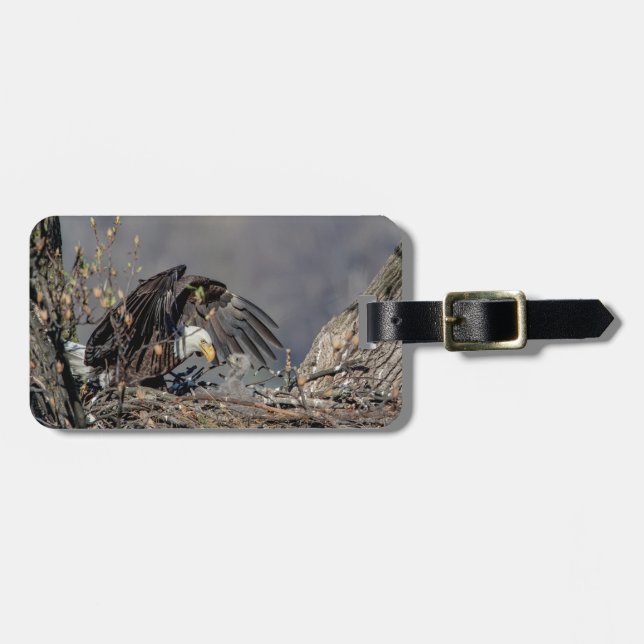 Bald Eagle with her baby Luggage Tag (Front Horizontal)