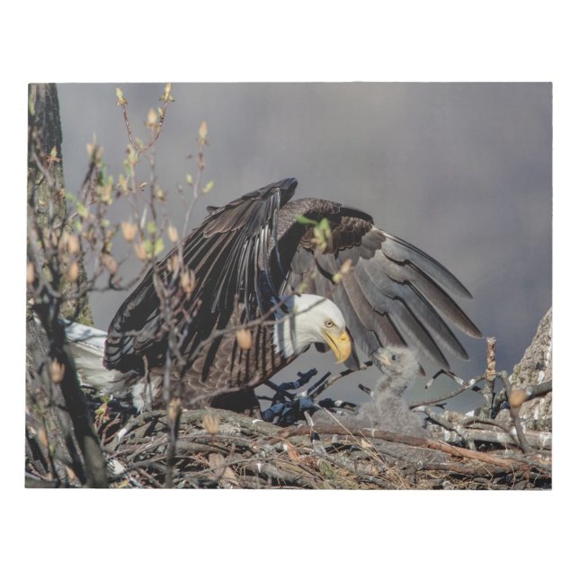 Bald Eagle with her baby Notepad (Front)