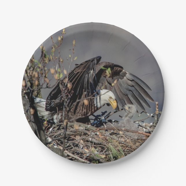Bald Eagle with her baby Paper Plate (Front)