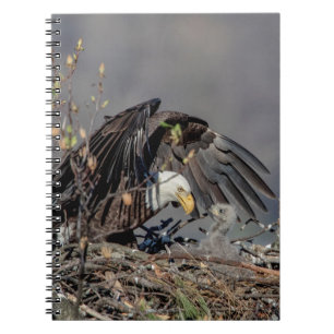 Bald Eagle with her baby Spiral Notebook
