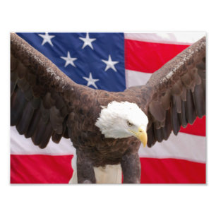 Bald Eagle with the American Flag Puzzle Photo Print