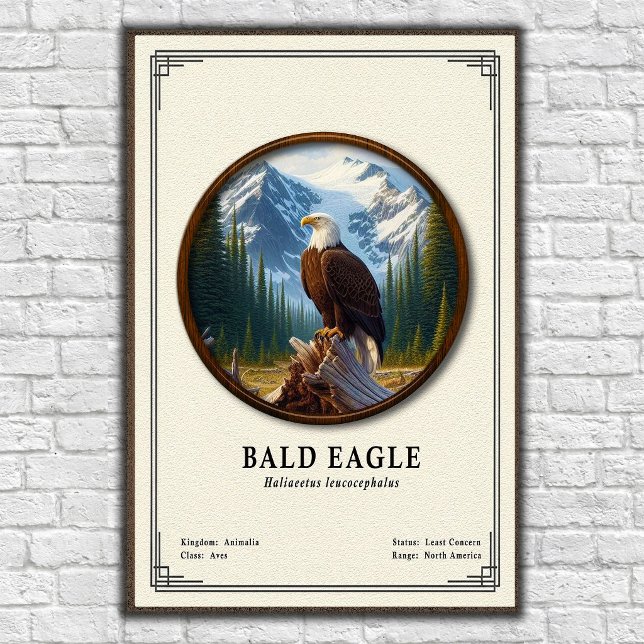 Bald Eagle Zoology Series Poster (Creator Uploaded)