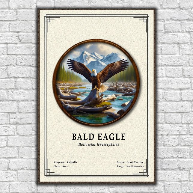 Bald Eagle Zoology Series Poster (Creator Uploaded)