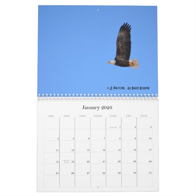 Bald Eagles 2015 Calendar (Jan 2026)