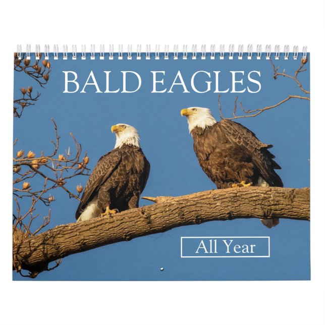 BALD EAGLES All Year Calendar (Cover)