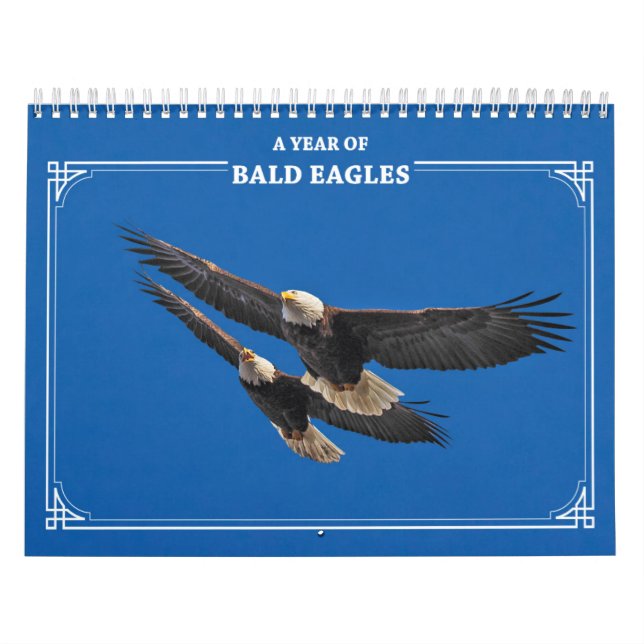 Bald Eagles All Year Calendar (Cover)