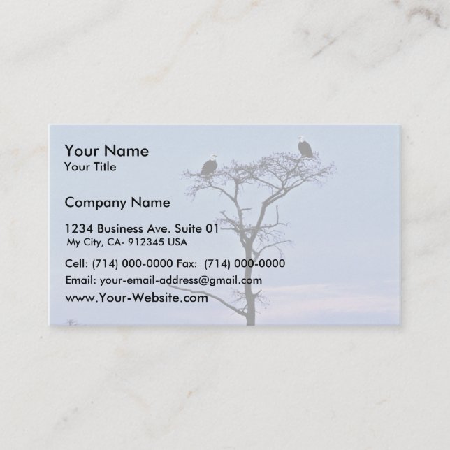 Bald Eagles at Reelfoot National Wildlife Refuge Business Card (Front)