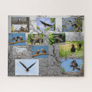 Bald Eagles, Bringing Up Junior Jigsaw Puzzle