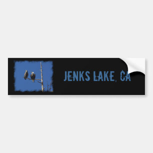 Bald Eagles Bumper Sticker