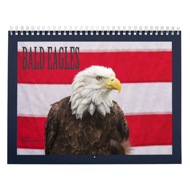 Bald Eagles Calendar (Cover)
