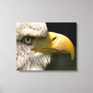 BALD EAGLES CANVAS PRINT