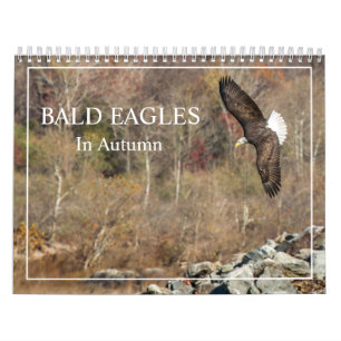 Bald Eagles In Autumn Calendar