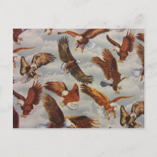 Bald Eagles in Flight Postcard