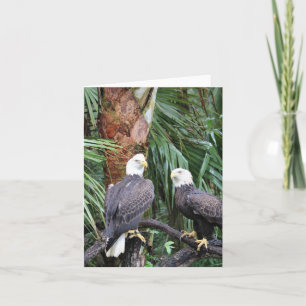 Bald Eagles Photo Folded Note Card