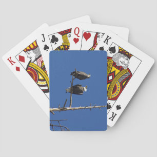 Bald Eagles Playing Cards