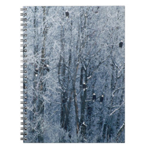 Bald Eagles Spiral Notebook