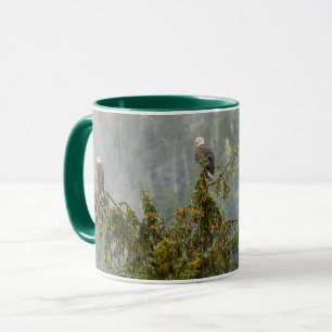 Bald Eagles Tongass National Forest Alaska Mug