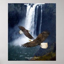 Bald Eagles & Waterfall Wildlife Art Poster