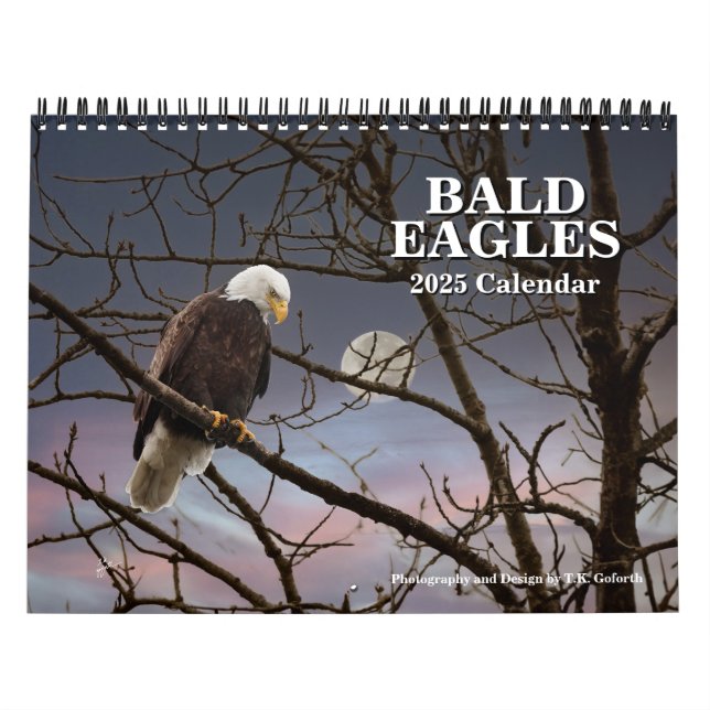 Bald Eagles Wildlife Photography Calendar (Cover)