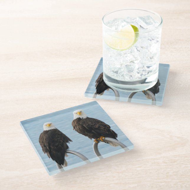 Bald Eagles with Attitude Funny Wildlife Glass Coaster (Angled)