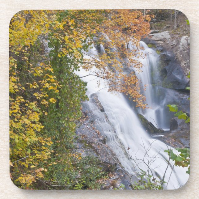 Bald River Falls Coaster (Front)