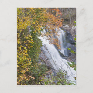 Bald River Falls Postcard