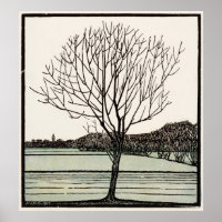 Bald Tree