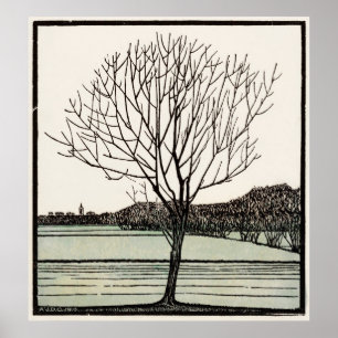 Bald Tree Poster