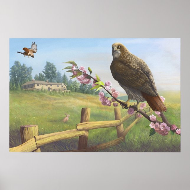 Baldpate Red-tails Print (Front)