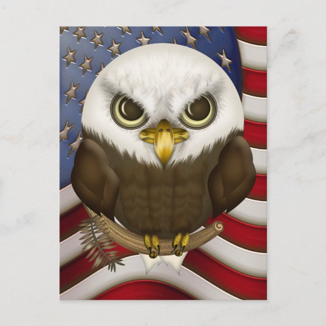 Baldwin The Cute Bald Eagle Postcard (Front)