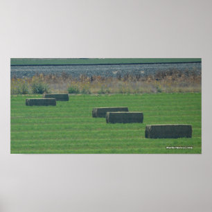 Bales of Hay II - Photo Print
