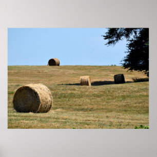 Bales of Hay Poster