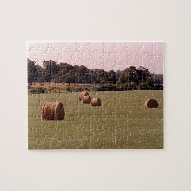 Bales Puzzle (Horizontal)