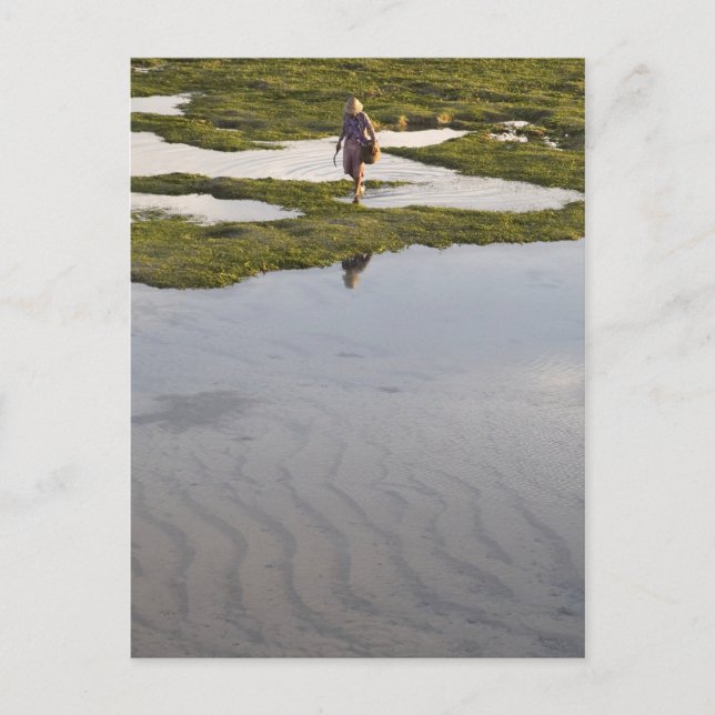 Bali Beach Postcard (Front)