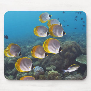 Bali, Indonesia Mouse Pad