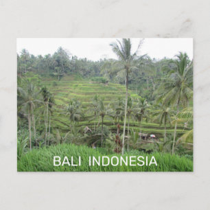 Bali Indonesia Postcard