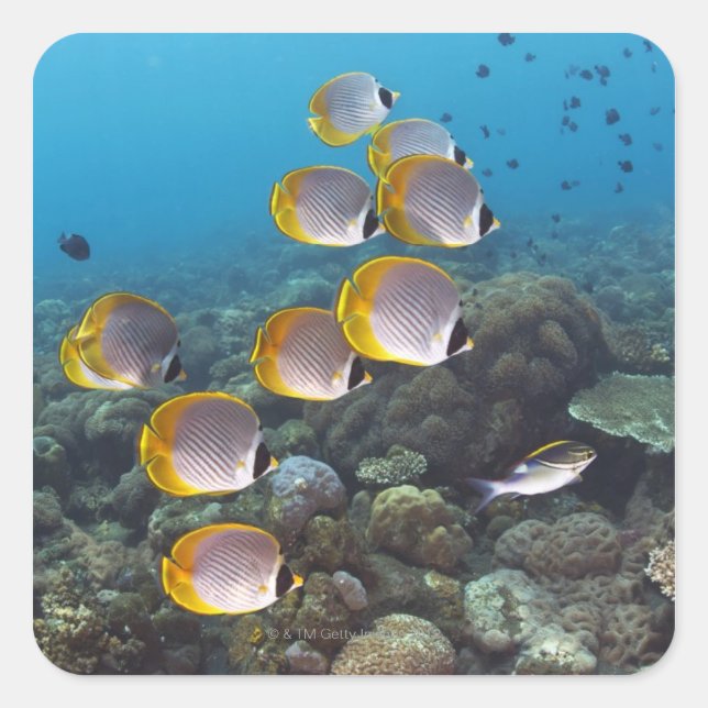 Bali, Indonesia Square Sticker (Front)