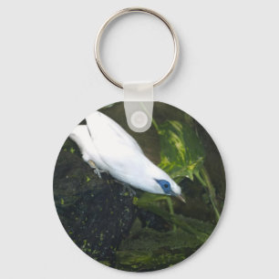 Bali Myna Key Ring