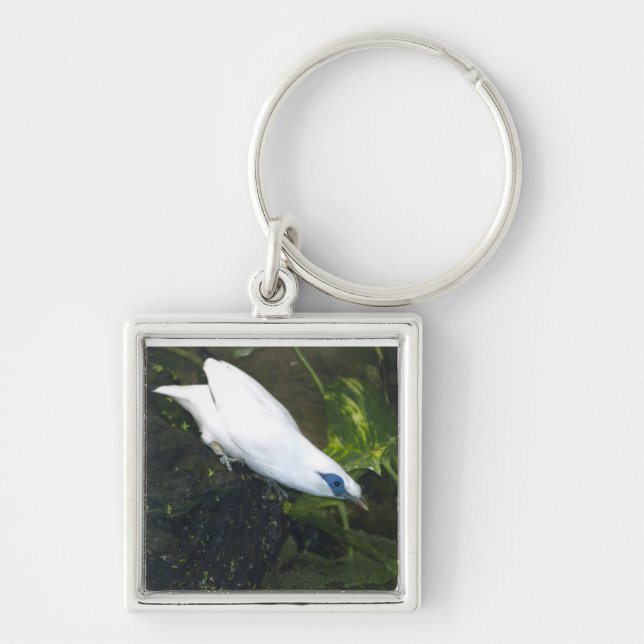 Bali Myna Key Ring (Front)