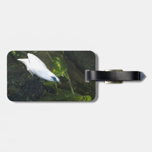 Bali Myna Luggage Tag
