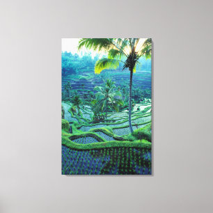 Bali Overview Of Rice Terraces Canvas Print