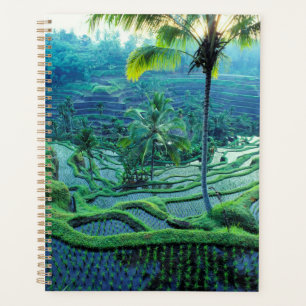 Bali Overview Of Rice Terraces Planner