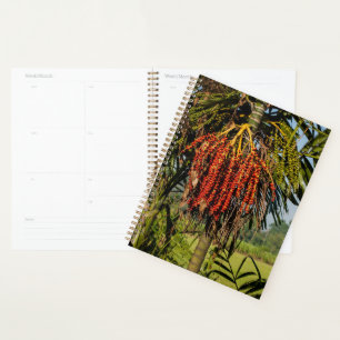 Bali Palm Fruit in the rice field - Planner