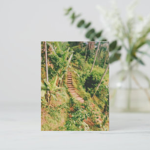 Bali rainforest Stairway Holiday Postcard
