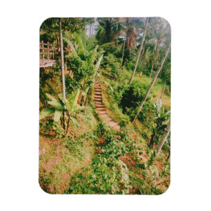 Bali rainforest Stairway  Magnet